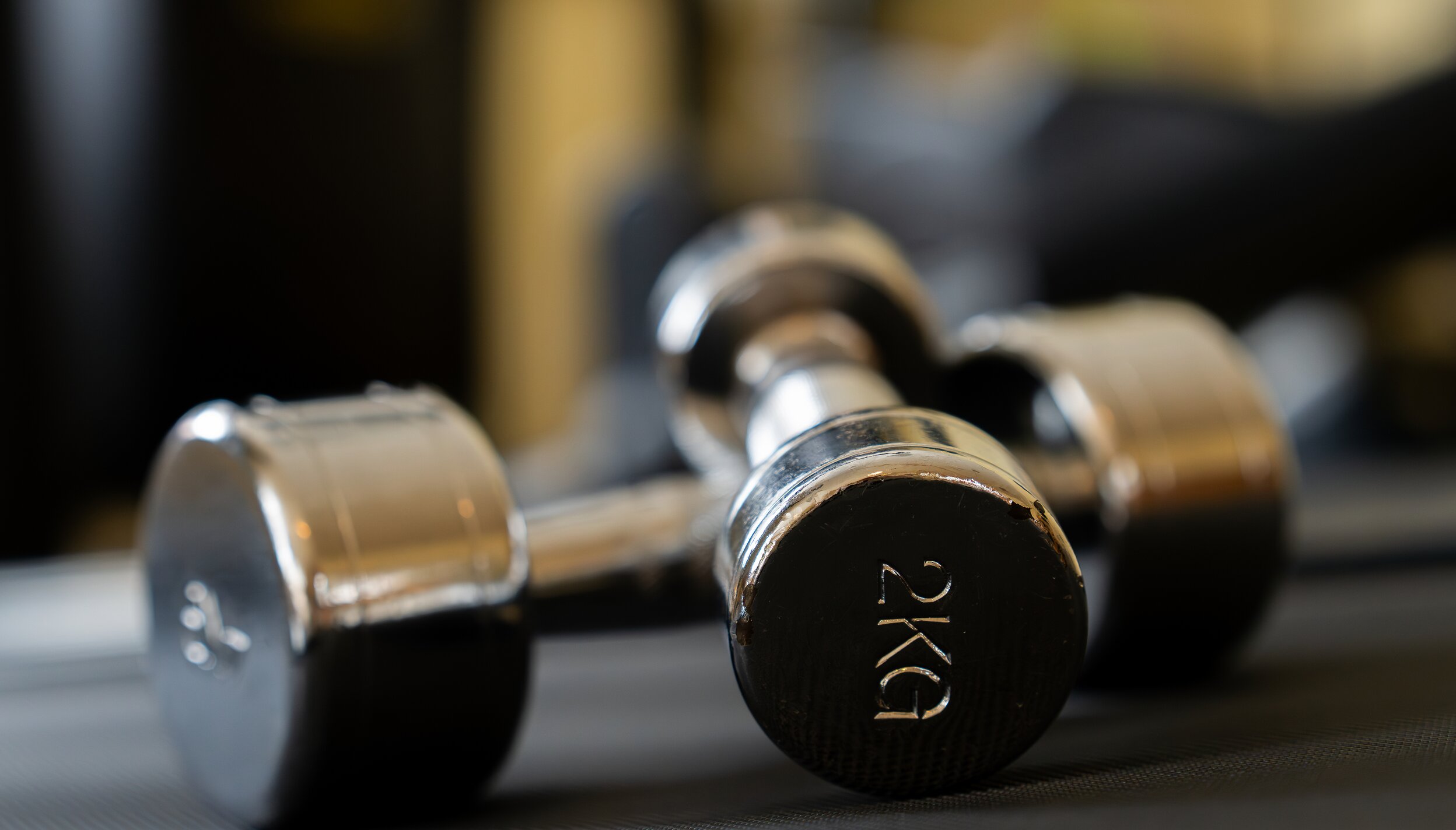 Zwei Hanteln (2 kg) liegen auf einer Matte