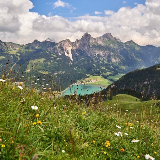 Haldensee mit Bergen und Wiese im Sommer vor Hotel Tyrol