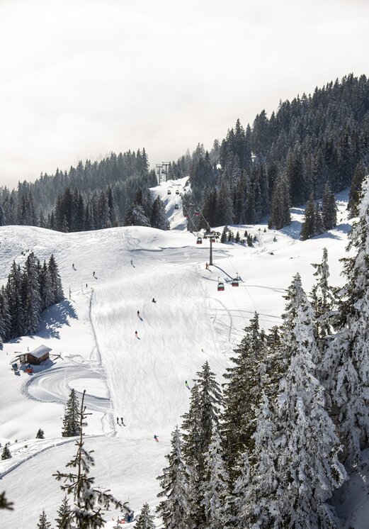 Verschneite Skipiste mit Skifahrern und Sessellift im Wald